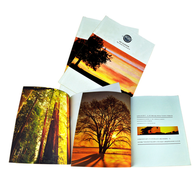 Uprint Brochure Catalogue Printing , Leaflet Pamphlet Printing Services